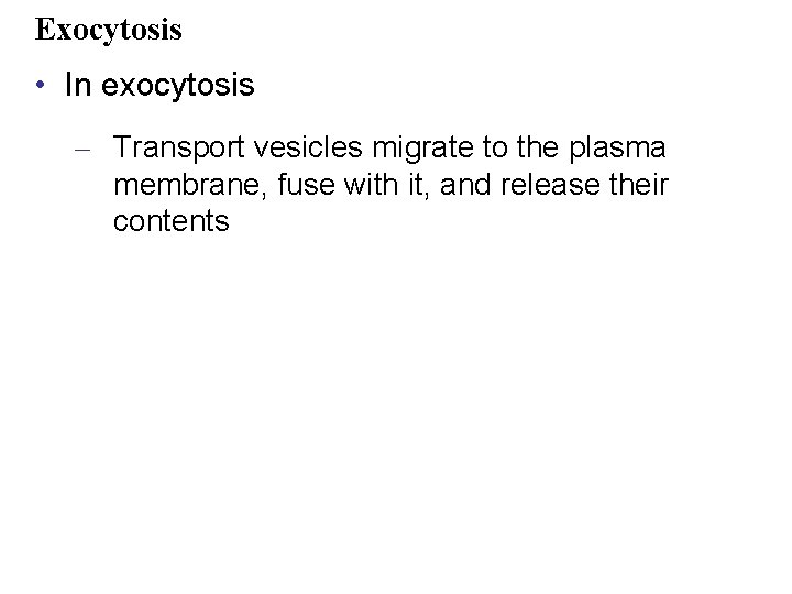 Exocytosis • In exocytosis – Transport vesicles migrate to the plasma membrane, fuse with