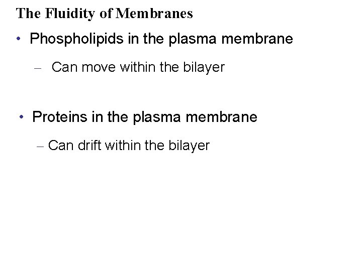 The Fluidity of Membranes • Phospholipids in the plasma membrane – Can move within