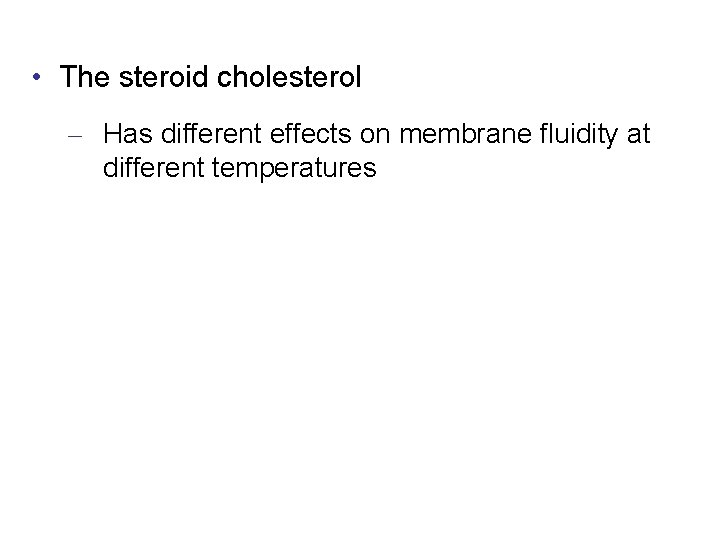  • The steroid cholesterol – Has different effects on membrane fluidity at different