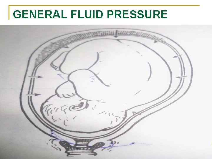 GENERAL FLUID PRESSURE 