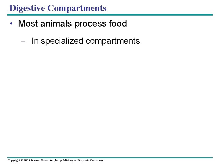Digestive Compartments • Most animals process food – In specialized compartments Copyright © 2005