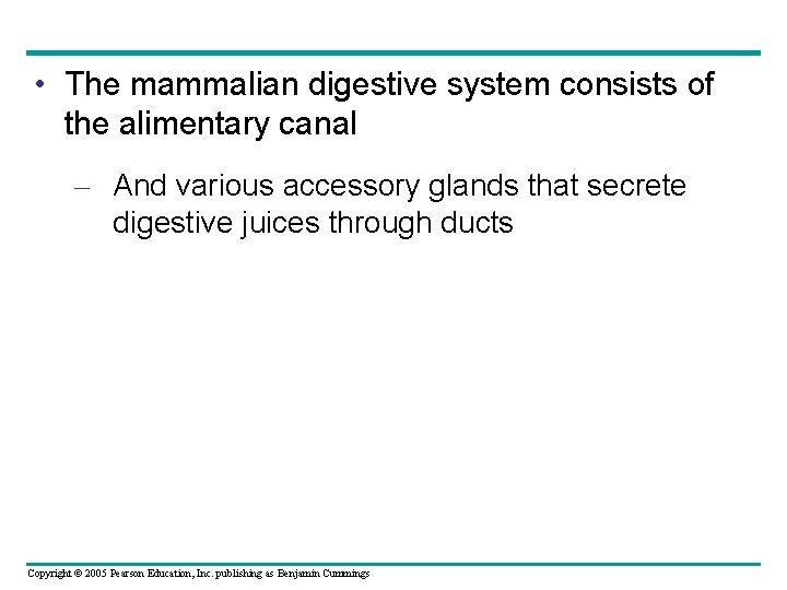  • The mammalian digestive system consists of the alimentary canal – And various