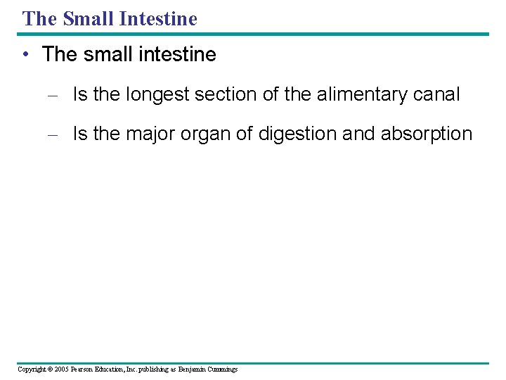 The Small Intestine • The small intestine – Is the longest section of the