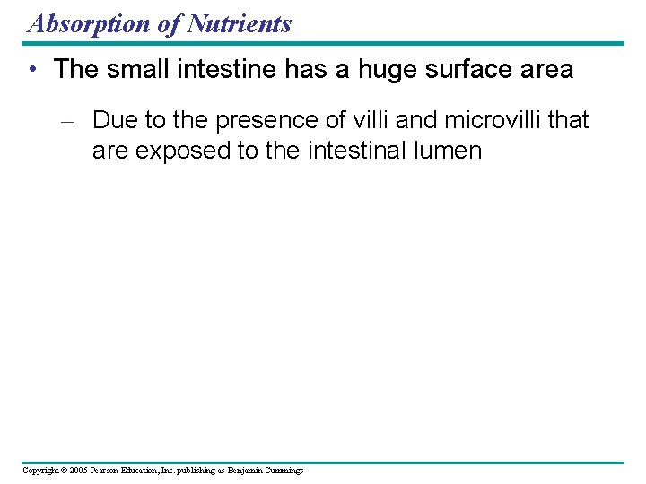 Absorption of Nutrients • The small intestine has a huge surface area – Due