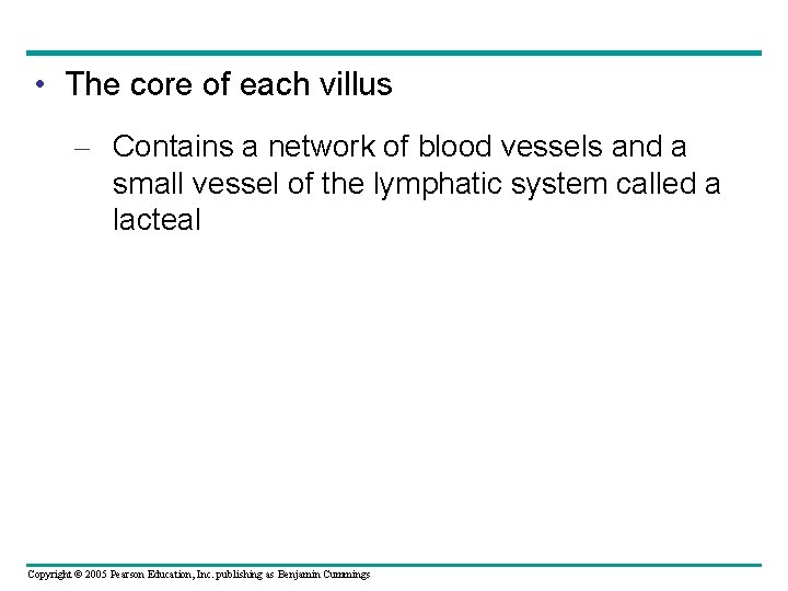  • The core of each villus – Contains a network of blood vessels
