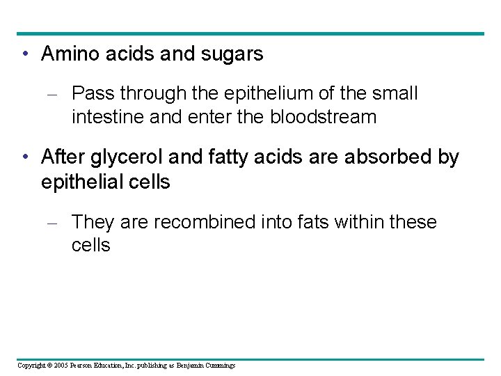  • Amino acids and sugars – Pass through the epithelium of the small