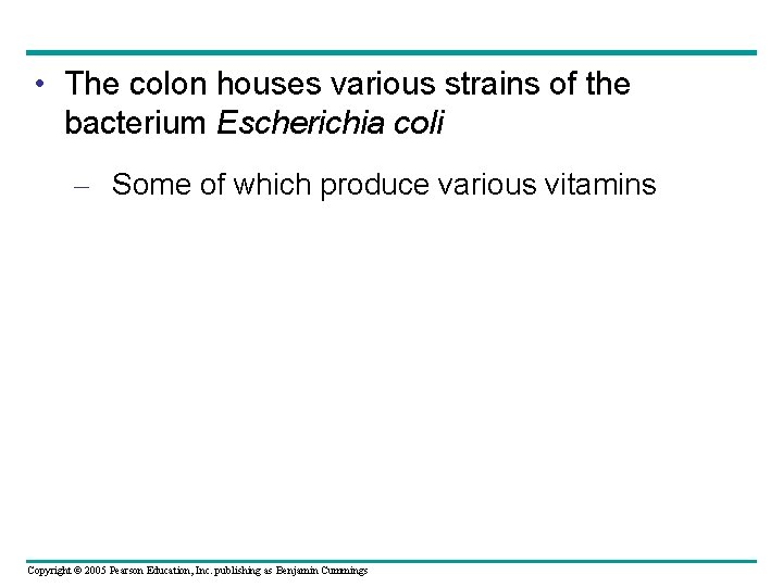  • The colon houses various strains of the bacterium Escherichia coli – Some