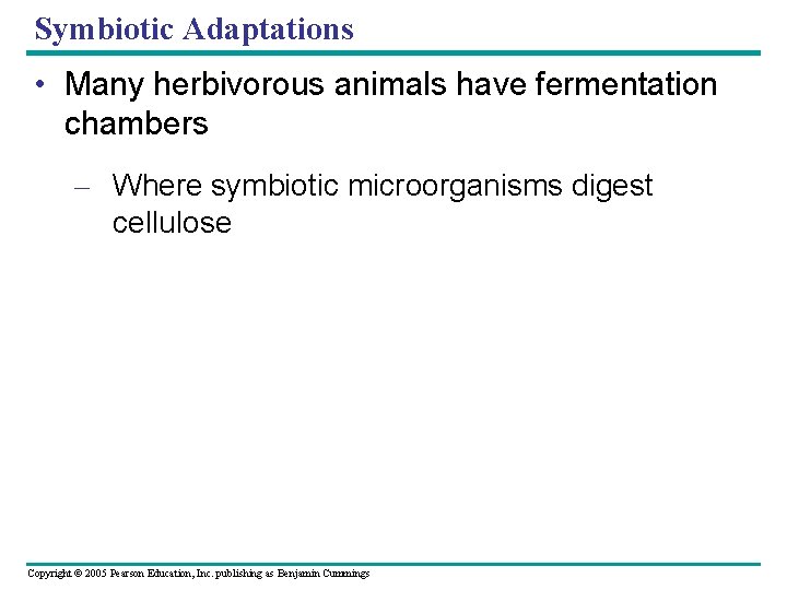Symbiotic Adaptations • Many herbivorous animals have fermentation chambers – Where symbiotic microorganisms digest