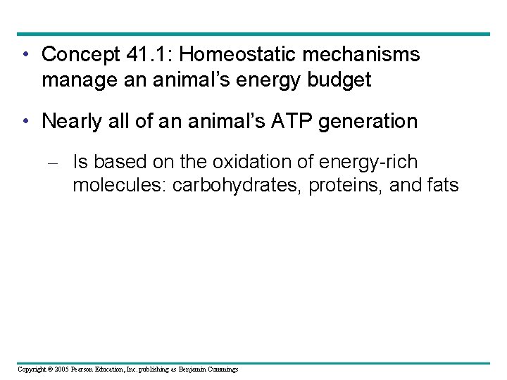 • Concept 41. 1: Homeostatic mechanisms manage an animal’s energy budget • Nearly