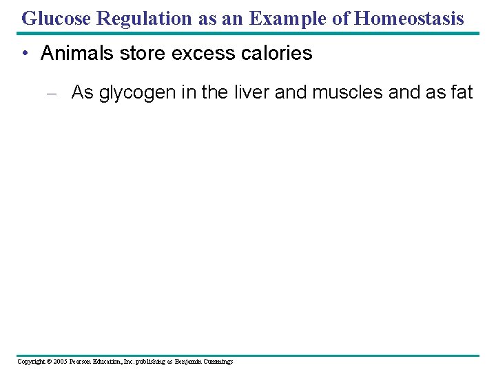 Glucose Regulation as an Example of Homeostasis • Animals store excess calories – As