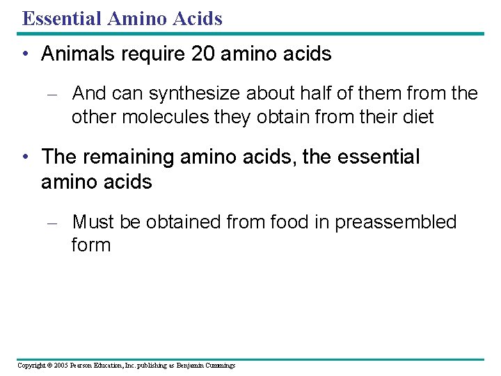 Essential Amino Acids • Animals require 20 amino acids – And can synthesize about