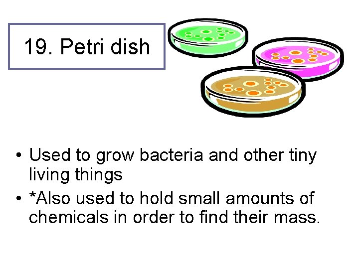 19. Petri dish • Used to grow bacteria and other tiny living things •