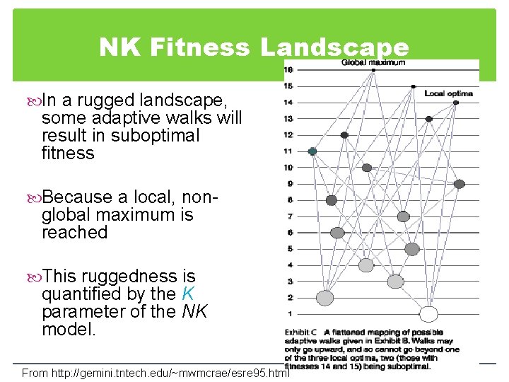 NK Fitness Landscape In a rugged landscape, some adaptive walks will result in suboptimal