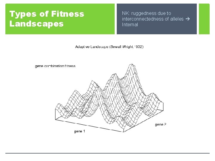 Types of Fitness Landscapes NK: ruggedness due to interconnectedness of alleles Internal 