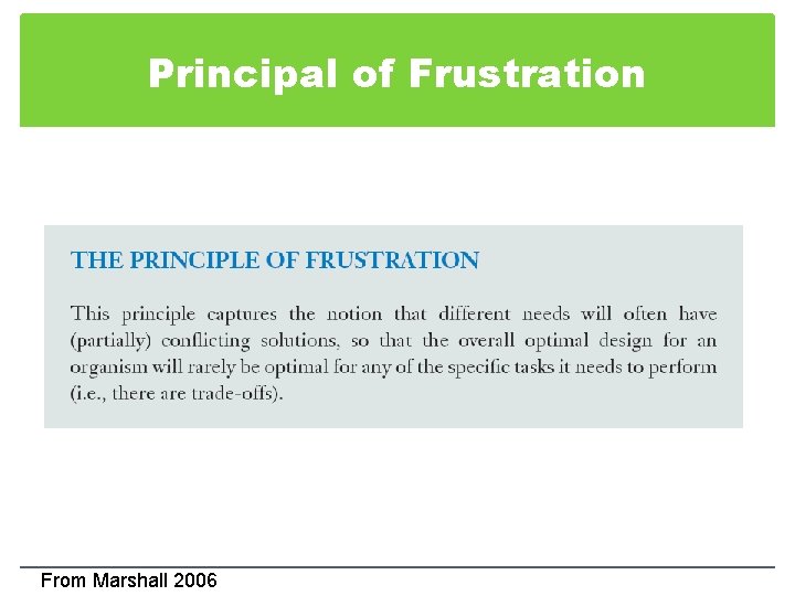 Principal of Frustration From Marshall 2006 