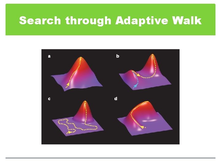 Search through Adaptive Walk 