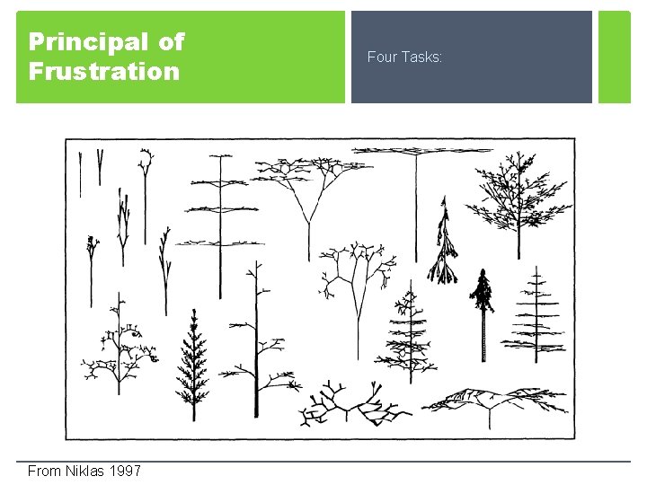 Principal of Frustration From Niklas 1997 Four Tasks: 