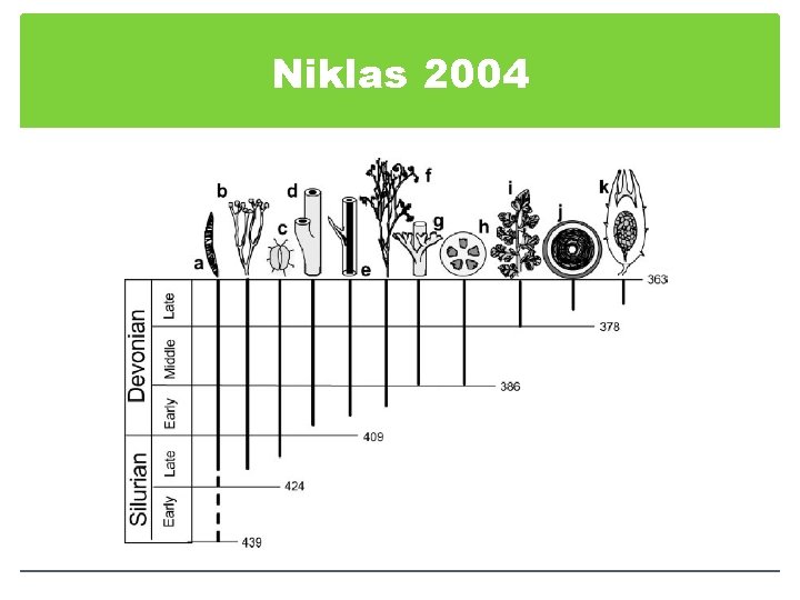 Niklas 2004 