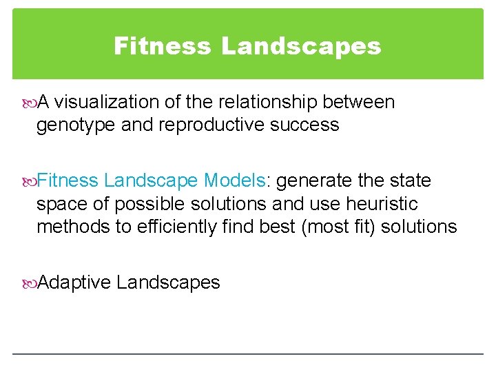 Fitness Landscapes A visualization of the relationship between genotype and reproductive success Fitness Landscape