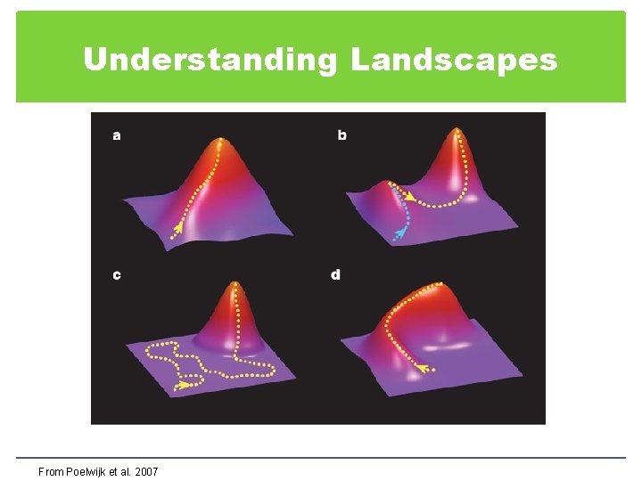 Understanding Landscapes From Poelwijk et al. 2007 