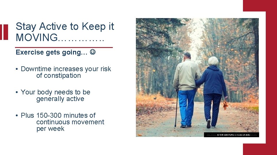 Stay Active to Keep it MOVING…………. . Exercise gets going… • Downtime increases your