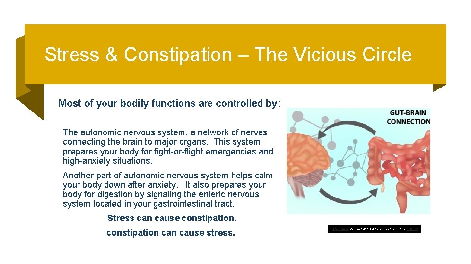 Stress & Constipation – The Vicious Circle Most of your bodily functions are controlled
