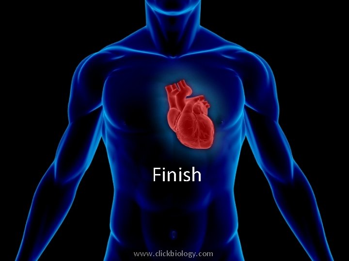 Finish www. clickbiology. com 