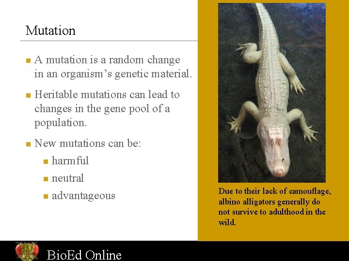 Mutation n A mutation is a random change in an organism’s genetic material. Heritable