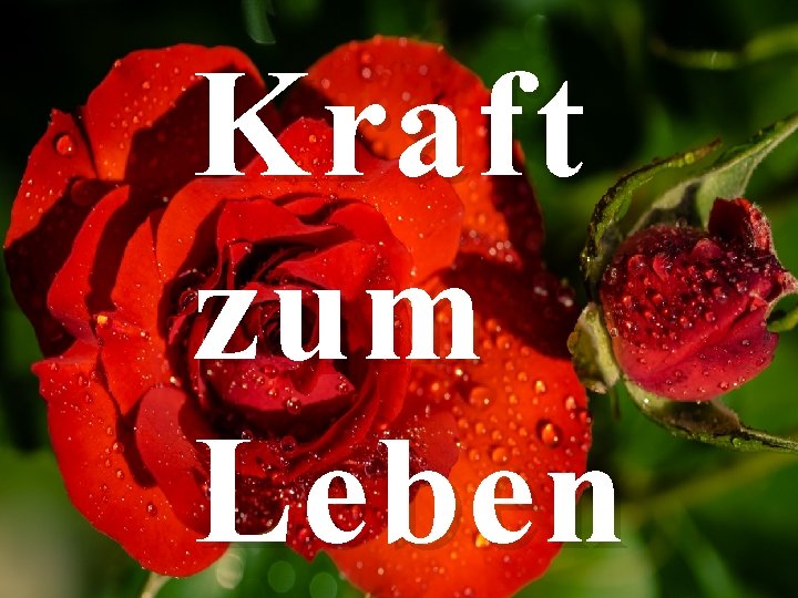 Kraft zum Leben 