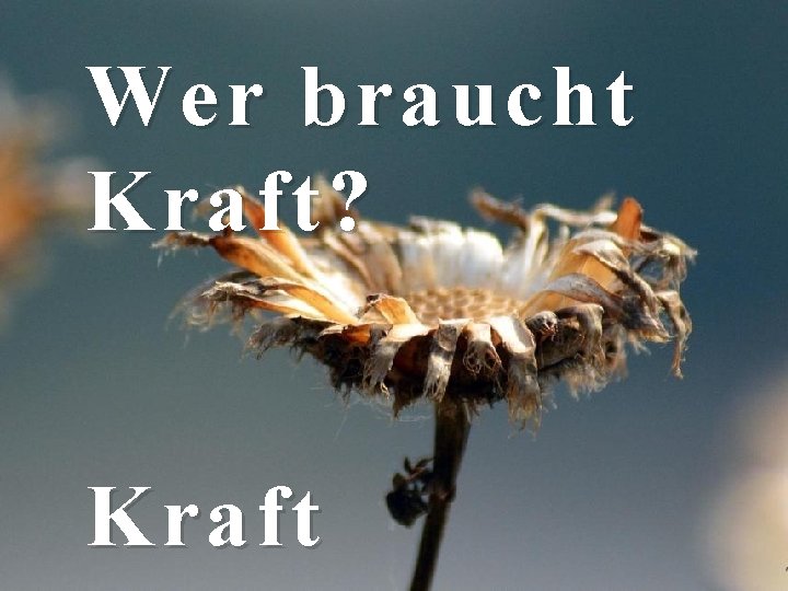 Wer braucht Kraft? Kraft 