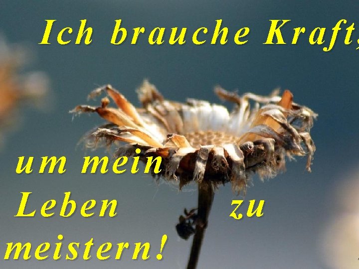 Ich brauche Kraft, um mein Leben meistern! zu 