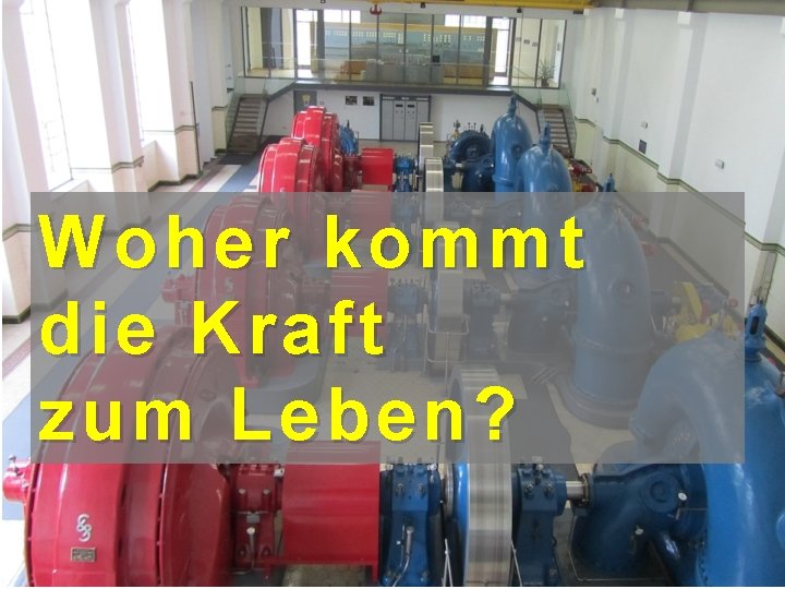 Woher kommt die Kraft zum Leben ? 