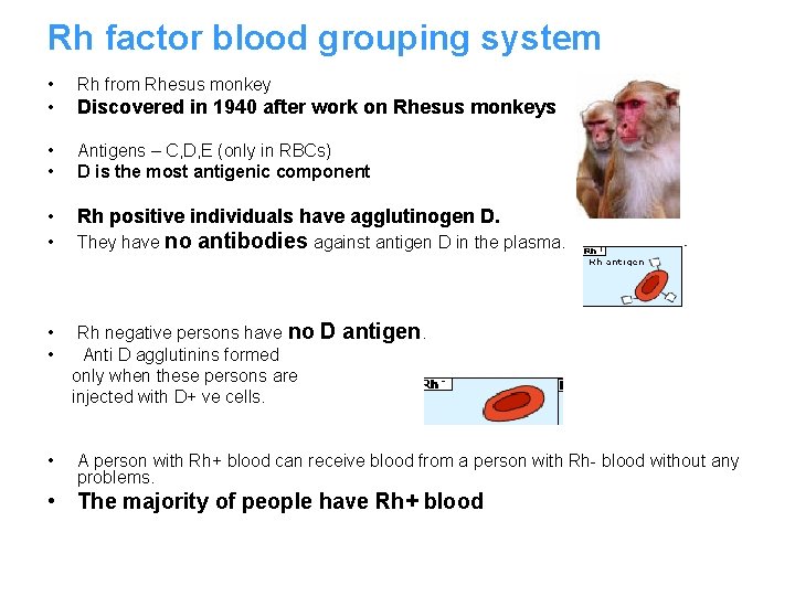 Rh factor blood grouping system • Rh from Rhesus monkey • Discovered in 1940
