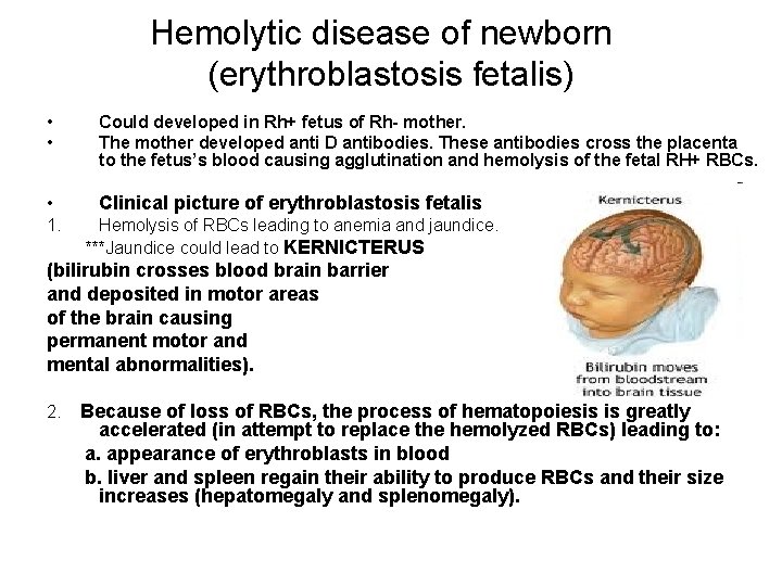 Hemolytic disease of newborn (erythroblastosis fetalis) • • Could developed in Rh+ fetus of