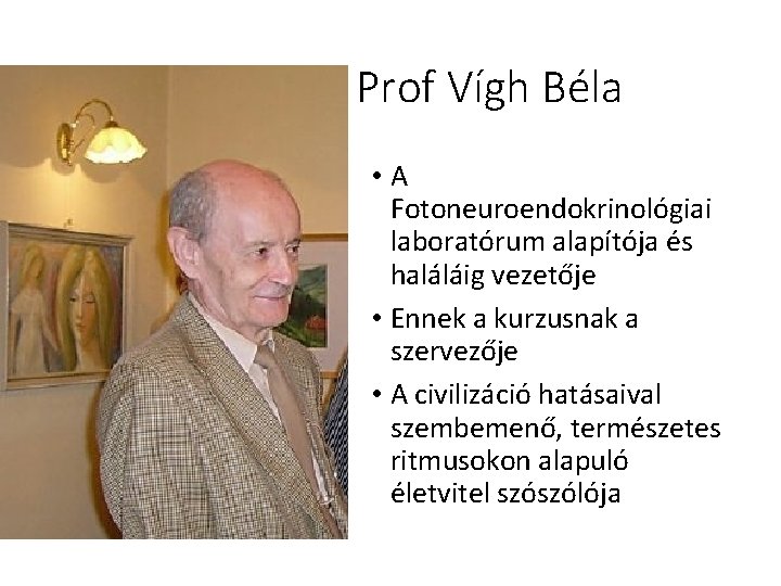 Prof Vígh Béla • A Fotoneuroendokrinológiai laboratórum alapítója és haláláig vezetője • Ennek a