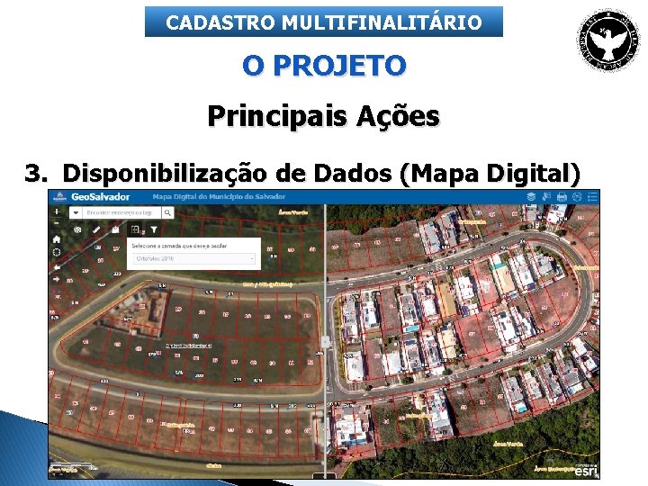 CADASTRO MULTIFINALITÁRIO O PROJETO Principais Ações 3. Disponibilização de Dados (Mapa Digital) 