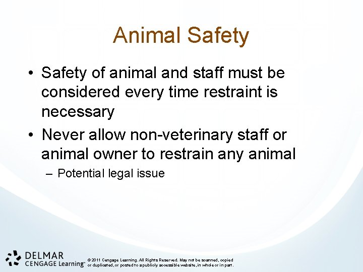 Animal Safety • Safety of animal and staff must be considered every time restraint