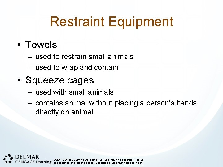 Restraint Equipment • Towels – used to restrain small animals – used to wrap
