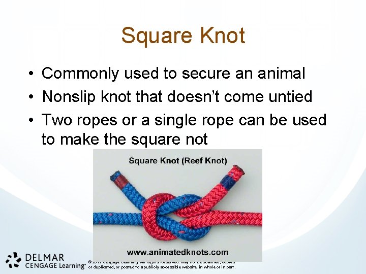 Square Knot • Commonly used to secure an animal • Nonslip knot that doesn’t