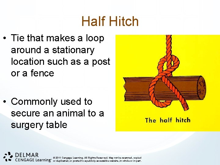 Half Hitch • Tie that makes a loop around a stationary location such as