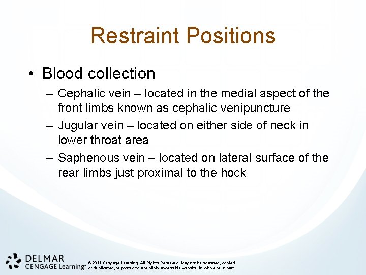 Restraint Positions • Blood collection – Cephalic vein – located in the medial aspect