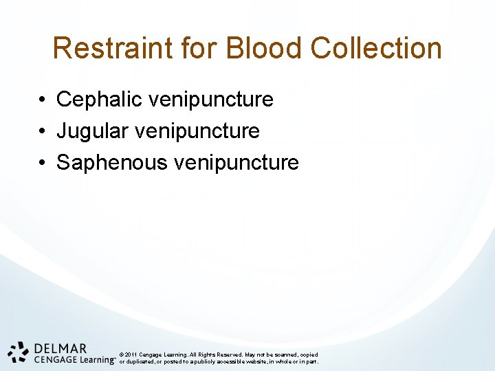 Restraint for Blood Collection • Cephalic venipuncture • Jugular venipuncture • Saphenous venipuncture ©