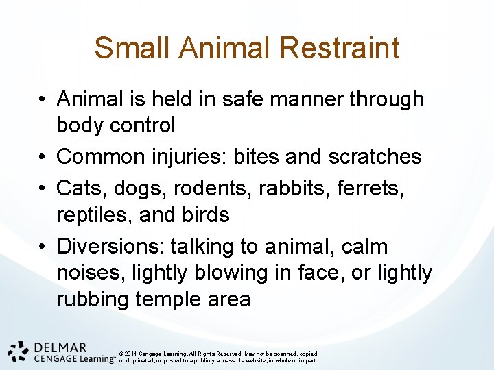 Small Animal Restraint • Animal is held in safe manner through body control •