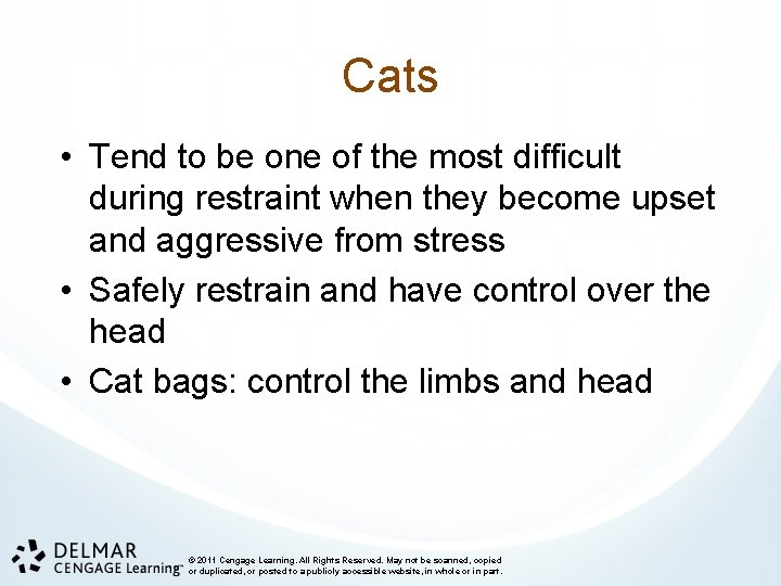 Cats • Tend to be one of the most difficult during restraint when they