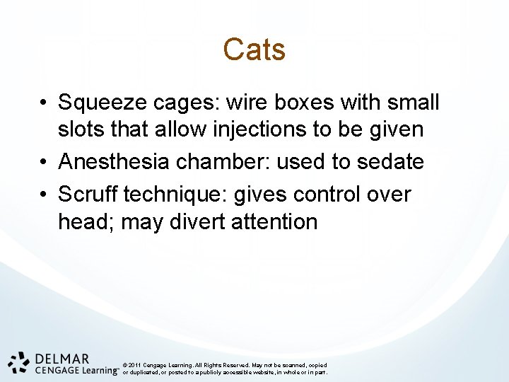 Cats • Squeeze cages: wire boxes with small slots that allow injections to be