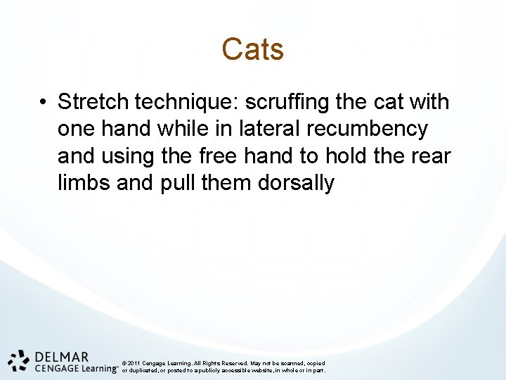 Cats • Stretch technique: scruffing the cat with one hand while in lateral recumbency