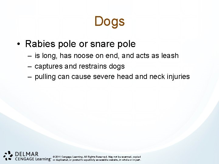 Dogs • Rabies pole or snare pole – is long, has noose on end,