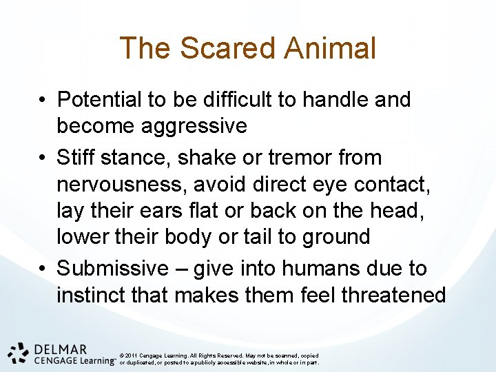 The Scared Animal • Potential to be difficult to handle and become aggressive •