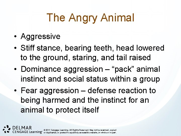 The Angry Animal • Aggressive • Stiff stance, bearing teeth, head lowered to the