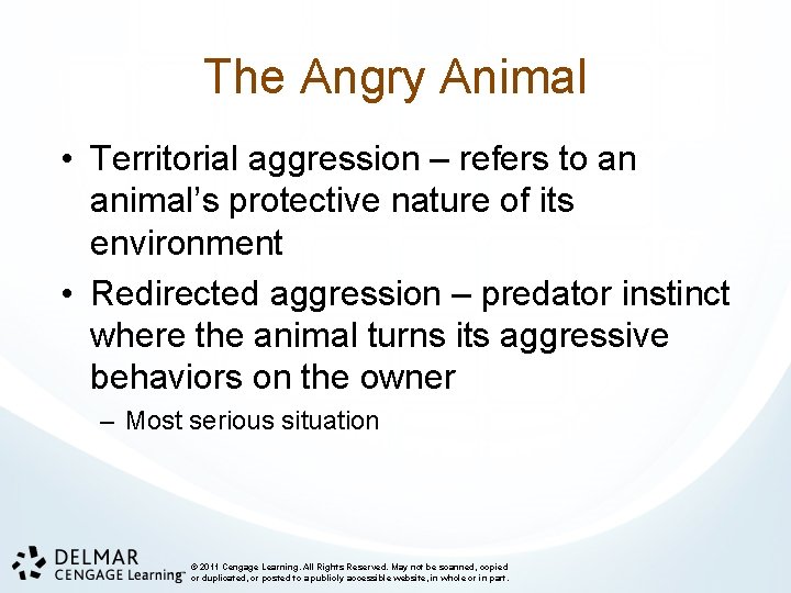 The Angry Animal • Territorial aggression – refers to an animal’s protective nature of